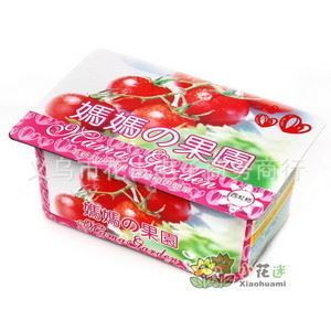 點亮生活角落 迷你室內盆栽，媽媽果園西紅柿帶來的綠色驚喜